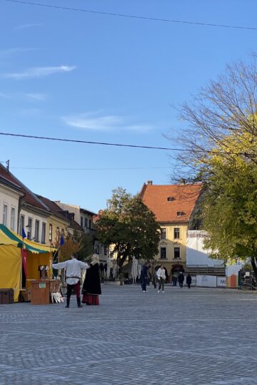 10 Reasons to Visit Novo Mesto Slovenia in Autumn