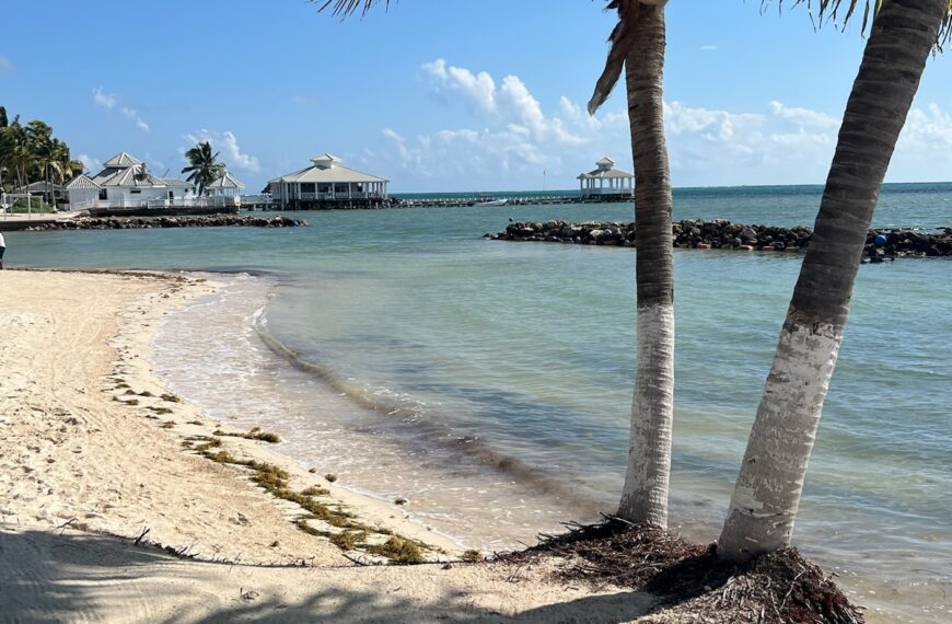 What to do in San Pedro, Belize